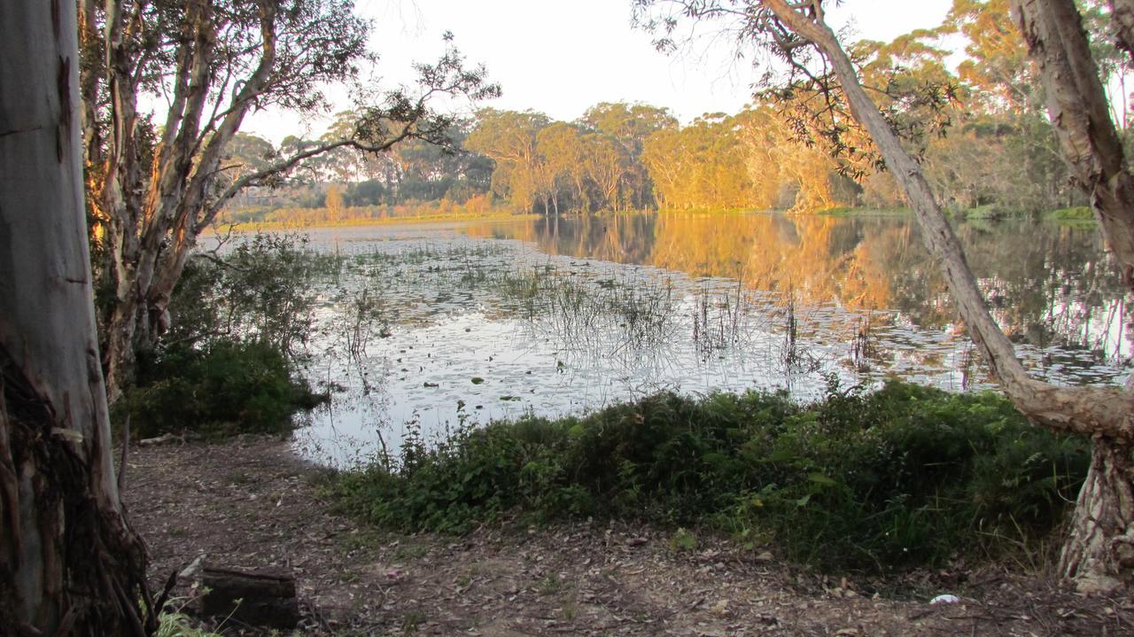 Lake Russell Retreat Emerald Beach Luaran gambar