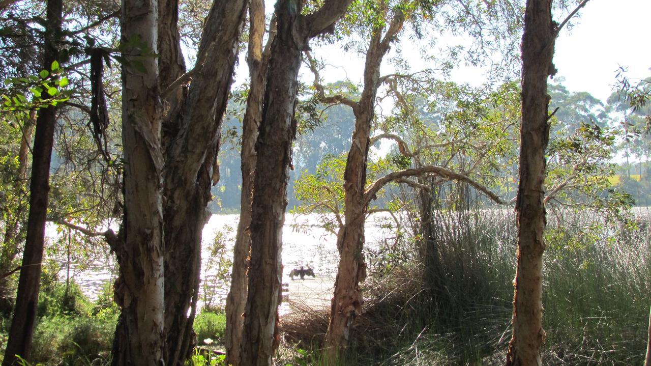 Lake Russell Retreat Emerald Beach Luaran gambar